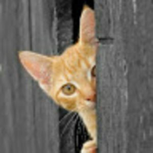 Meet your Posher, Zara